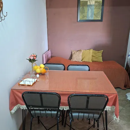 公寓 艾琳娜斯公寓 *